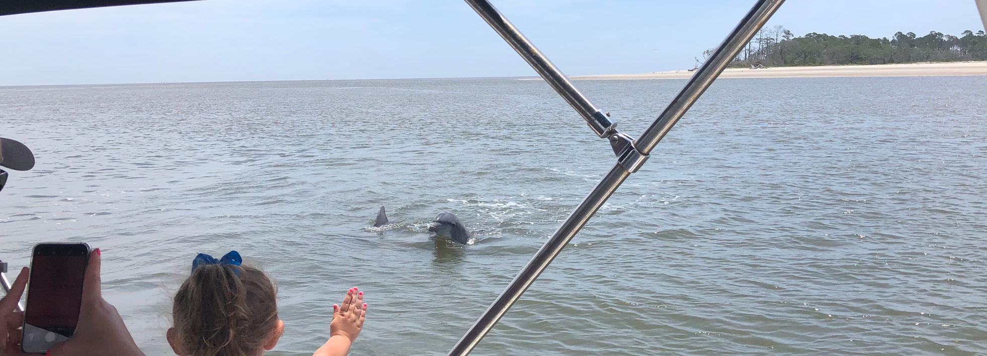 Guests enjoying a dolphin tour on the water